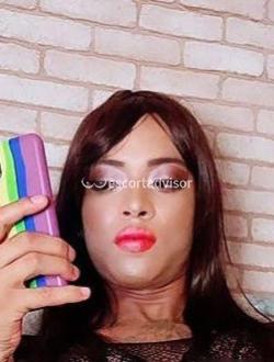 Trans 3509162501