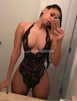 Escort 3509199529