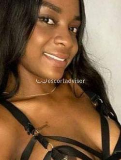 Escort 3509369679