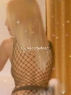 Escort 3510008351