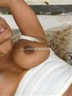 Escort 3510009546