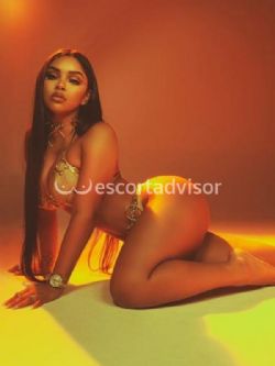 Escort 3510030984