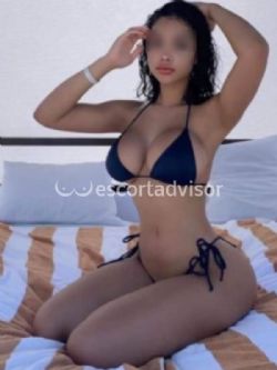 Escort 3510088021