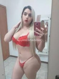 Trans 3510776437