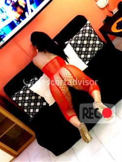 Escort 3510815685
