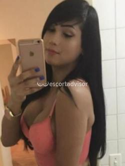 Escort 3511001641