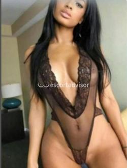 Escort 3511053054