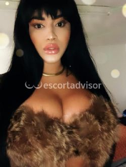 Escorts In Oslo