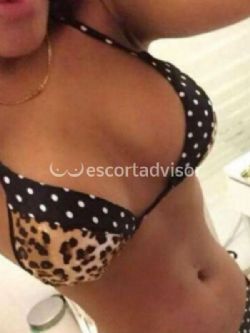 Escort 3511193673
