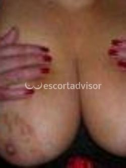 Escort 3511273070