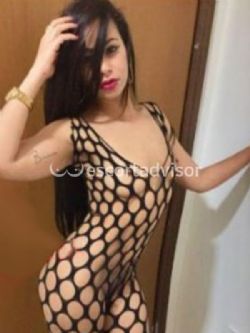 Escort 3511286133