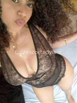 Escort 3511333711