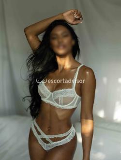 Escort 3511372327