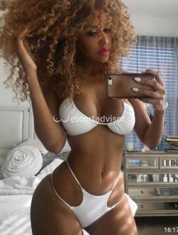 Escort 3511592615
