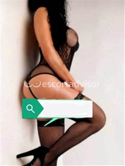 Escort 3511616544