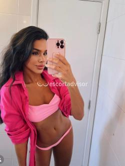 Escort 3511711870