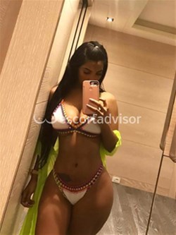 Escort 3511747875