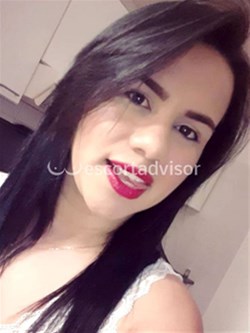 Escort 3511776830