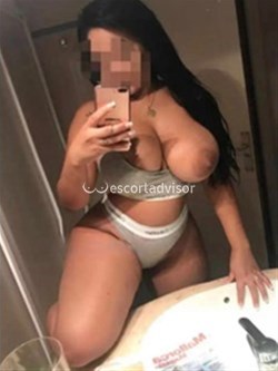 Escort 3511863309