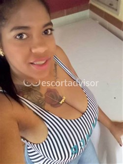 Escort 3511875407