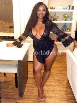 Escort 3512000992