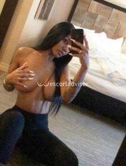 Escort 3512206668