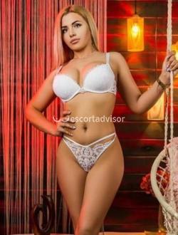 Escort 3512235312