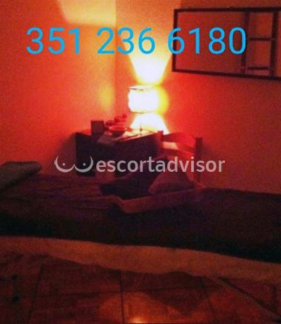 Escort 3512366180