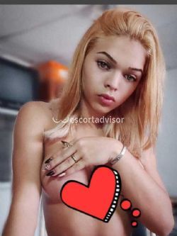 Trans 3512371774