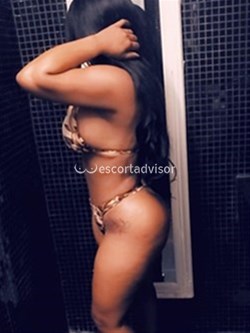 Escort 3512383141