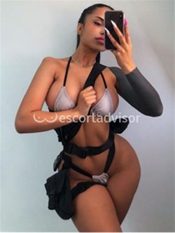Escort 3512385308