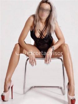 Escort 3512432156