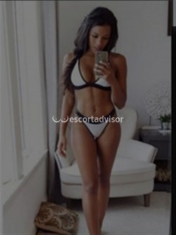 Escort 3512461694