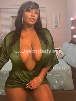 Escort 3512462152