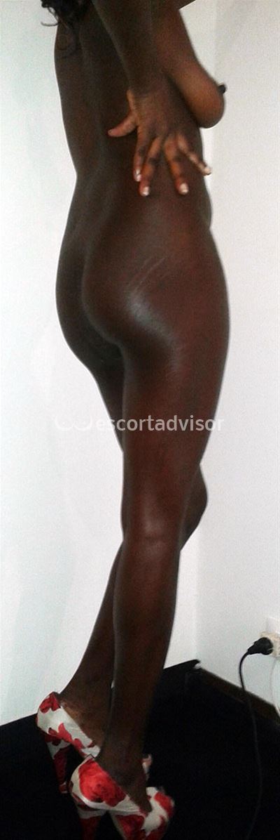 Escort 3512565681