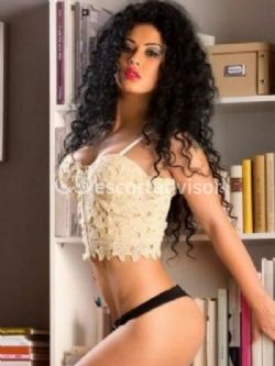 Escort 3512605662