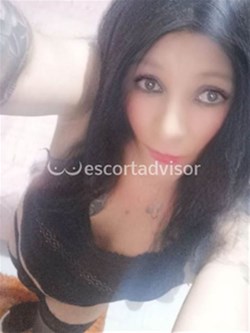 Trans 3512792904