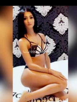 Escort 3512920947