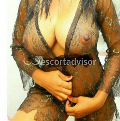 Escort 3512950640