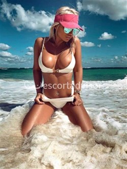 Escort 3512971987