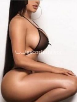 Escort 3512983186