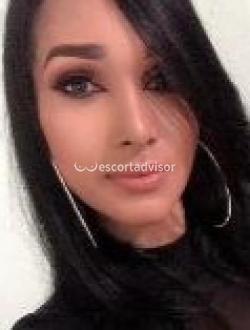 Escort 3515093515