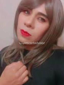 Trans 3515728826