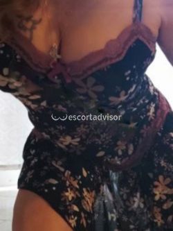 Escort 3517051511
