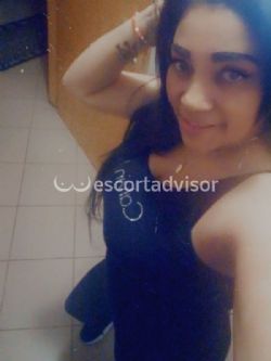 Escort 3533188402