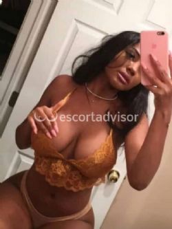 Escort 3533266116