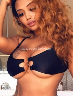 Escort 3533566374