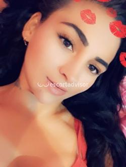 Escort 3533618202