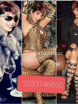 3533746850