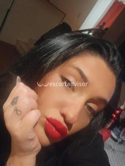 Escort 3533774953